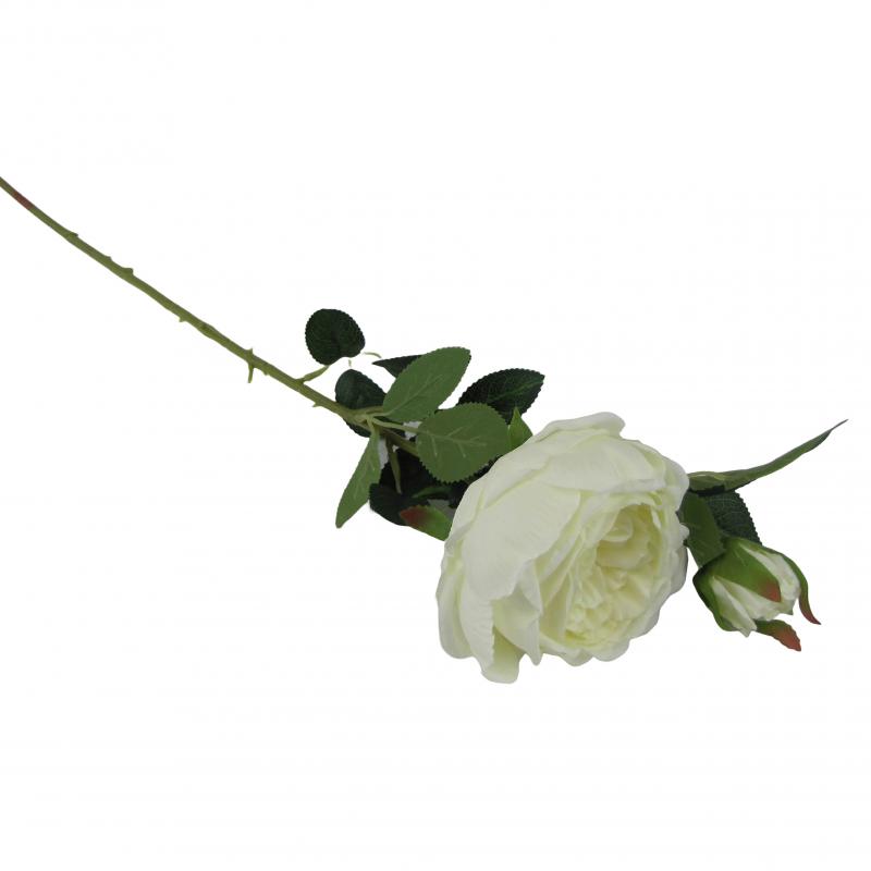 Róża 70cm biała <br>(12 sztuk)
